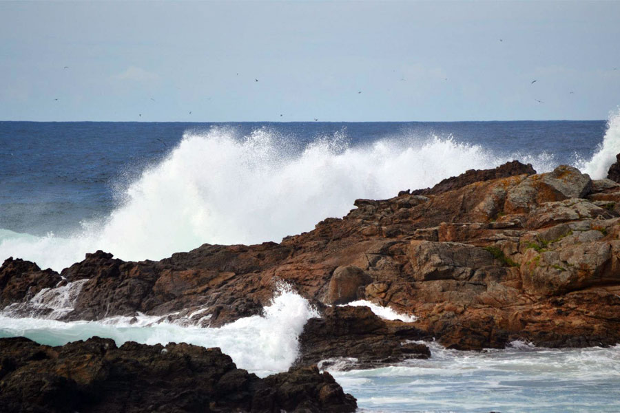 olas en doniños doniños nature